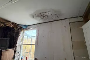 44 Carolina Springs Spur, North Augusta, SC 29841 - Photo 15