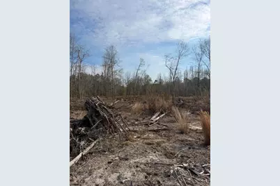 20.33 R and B Avenue, Barnwell, SC 29812 - Photo 7