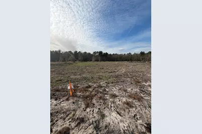 20.33 R and B Avenue, Barnwell, SC 29812 - Photo 3