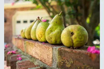 670 Partridge Bend Road, Aiken, SC 29803 - Photo 5