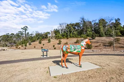 325 Laurens SW #D-10, Aiken, SC 29801 - Photo 31