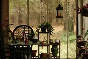 1157 Galilee Rd, Barnwell, SC 29812 - Photo 11