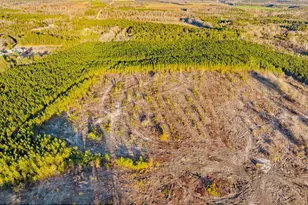 000 Maple Street SE, Salley, SC 29137 - Photo 1