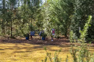 136 Pinyon Pine Loop, Aiken, SC 29803 - Photo 45