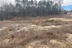 0000 Lamback Way, North Augusta, SC 29841 - Photo 1