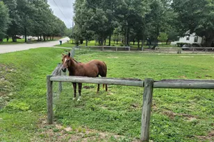 331 Glenwood Dr, Warrenville, SC 29851 - Photo 5