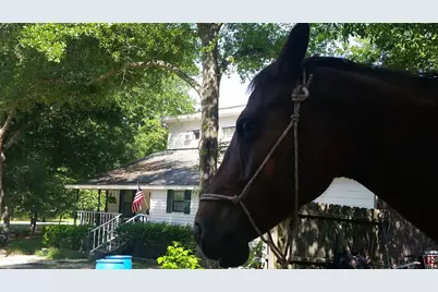 331 Glenwood Drive, Warrenville, SC 29851 - Photo 1