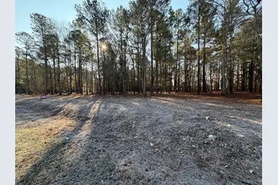 0000 Sapling Road, Barnwell, SC 29812 - Photo 1