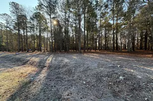 0000 Sapling Rd, Barnwell, SC 29812 - Photo 1