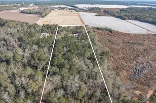 127 Martin Hollow Rd, Aiken, SC 29803 - Photo 5