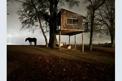 127 Martin Hollow Road, Aiken, SC 29803 - Photo 65