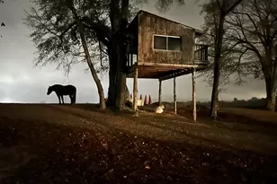 127 Martin Hollow Rd, Aiken, SC 29803 - Photo 65