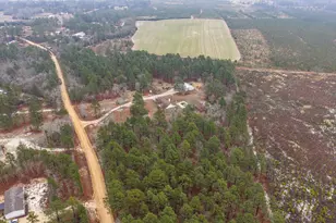 141 Screech Owl Trail, Aiken, SC 29805 - Photo 17