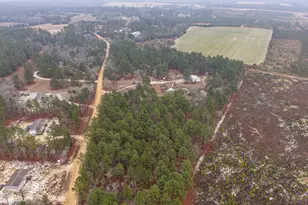 141 Screech Owl Trail, Aiken, SC 29805 - Photo 9