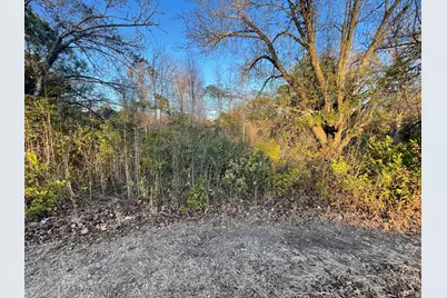 415 Forest Circle, New Ellenton, SC 29809 - Photo 3