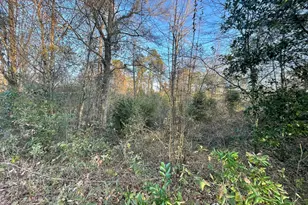 415 Forest Cir, New Ellenton, SC 29809 - Photo 1