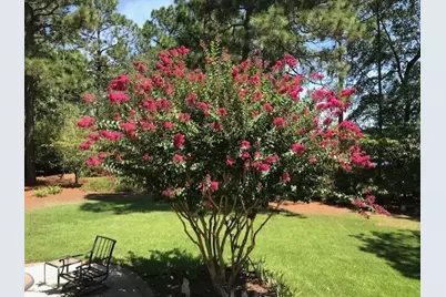 356 Forest Pines Road, Aiken, SC 29803 - Photo 43