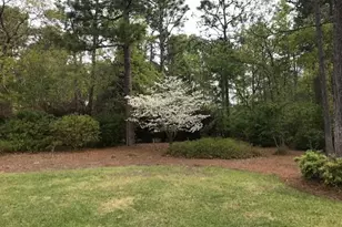 356 Forest Pines Rd, Aiken, SC 29803 - Photo 47