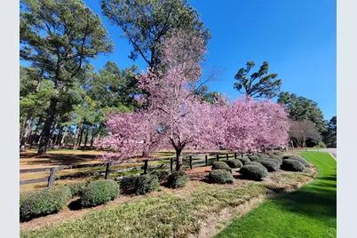 356 Forest Pines Road, Aiken, SC 29803 - Photo 59