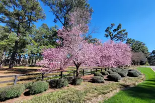356 Forest Pines Rd, Aiken, SC 29803 - Photo 59