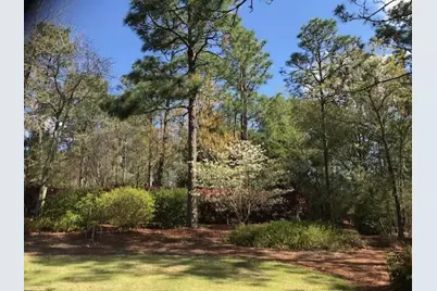 356 Forest Pines Road, Aiken, SC 29803 - Photo 49