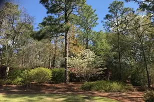 356 Forest Pines Rd, Aiken, SC 29803 - Photo 49