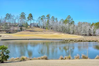 179 Grassy Creek Lane, Aiken, SC 29803 - Photo 63