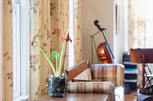 607 Colleton Ave SE, Aiken, SC 29801 - Photo 15