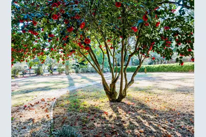 607 Colleton Avenue SE, Aiken, SC 29801 - Photo 59