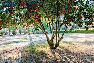 607 Colleton Ave SE, Aiken, SC 29801 - Photo 59