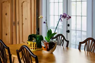 607 Colleton Ave SE, Aiken, SC 29801 - Photo 35