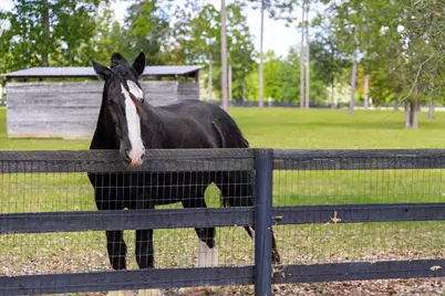 215 Filly Drive #A, Aiken, SC 29803 - Photo 59