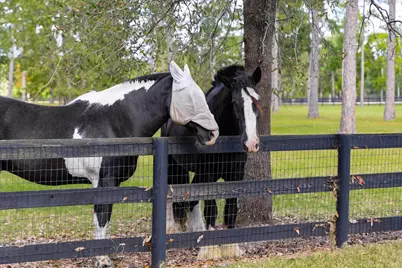 215 Filly Drive #A, Aiken, SC 29803 - Photo 61