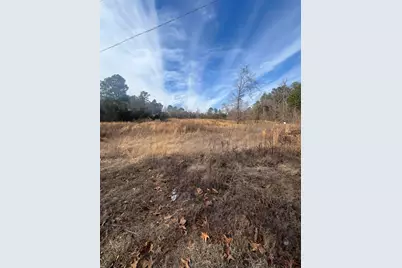 1650 Broad Street, Leesville, SC 29006 - Photo 3