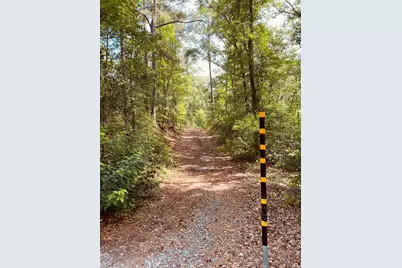 387 Wexford Mill Drive, Wagener, SC 29164 - Photo 3