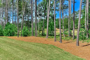 427 Cavalry Run, North Augusta, SC 29860 - Photo 57