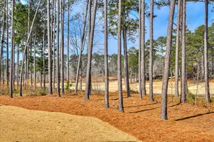 427 Cavalry, North Augusta, SC 29860 - Photo 59