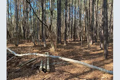 7 Riley Road, Edgefield, SC 29824 - Photo 5