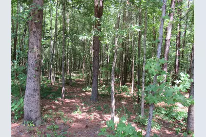 7 Riley Road, Edgefield, SC 29824 - Photo 11