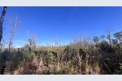 00 Epps Road, Manning, SC 29102 - Photo 17