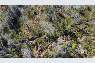 00 Epps Road, Manning, SC 29102 - Photo 11