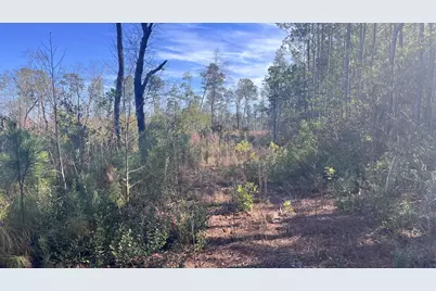 00 Epps Road, Manning, SC 29102 - Photo 19