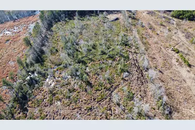 00 Epps Road, Manning, SC 29102 - Photo 9