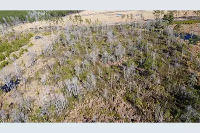 00 Epps Road, Manning, SC 29102 - Photo 13