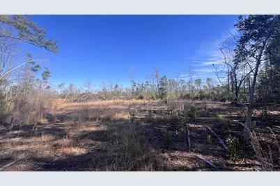 00 Epps Road, Manning, SC 29102 - Photo 21