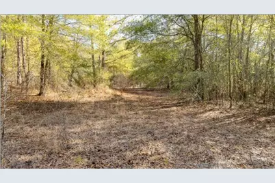 200 Safari Drive, Beech Island, SC 29842 - Photo 9