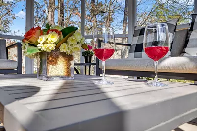 113 Loganberry Court, Aiken, SC 29803 - Photo 57