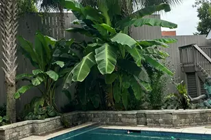 355 Park Ave SW, Aiken, SC 29801 - Photo 69