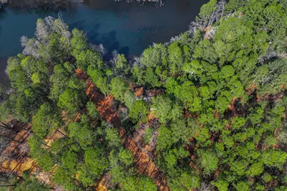 42 Old Lawson Road, Aiken, SC 29801 - Photo 3