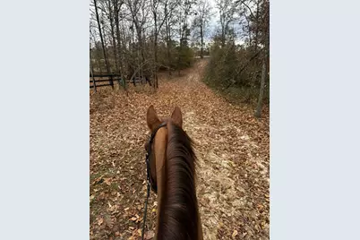 8423 Covert Drive, Aiken, SC 29803 - Photo 51